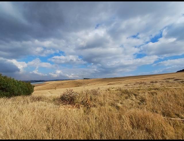 63.80HA FARM FOR SALE IN LIONS RIVER